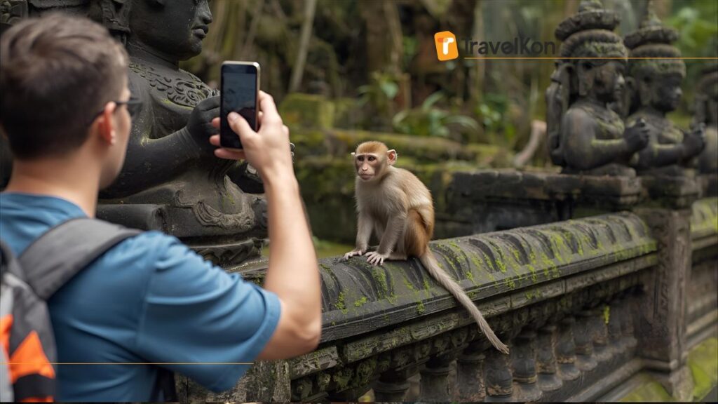 Monkey Forest Bali snap photo