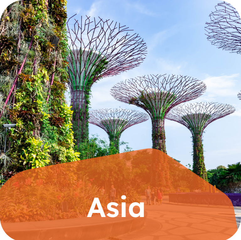 Asia eSIM