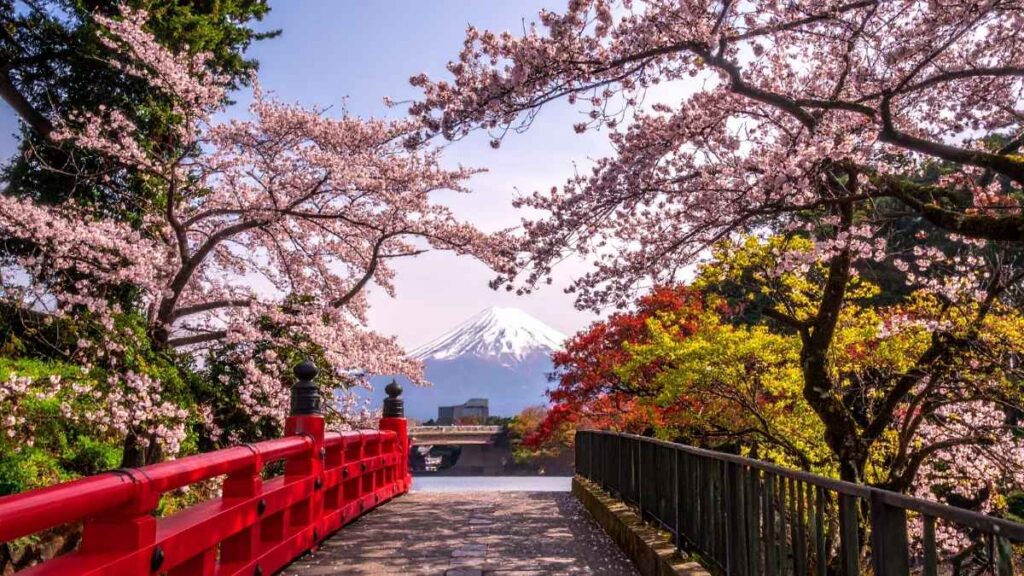 Japan Spring esim